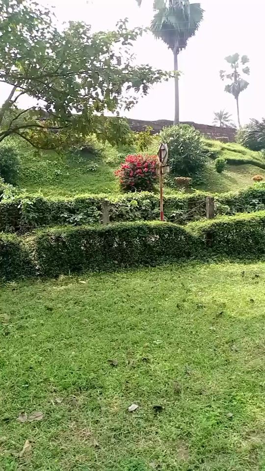 TikTok video thumbnail by user13149744665672