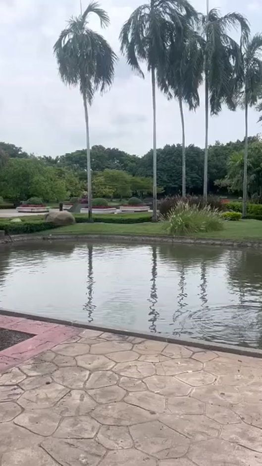 TikTok video thumbnail by ggg561057