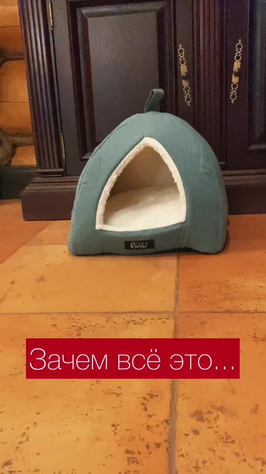 TikTok video thumbnail by cat.marcel.manchkin