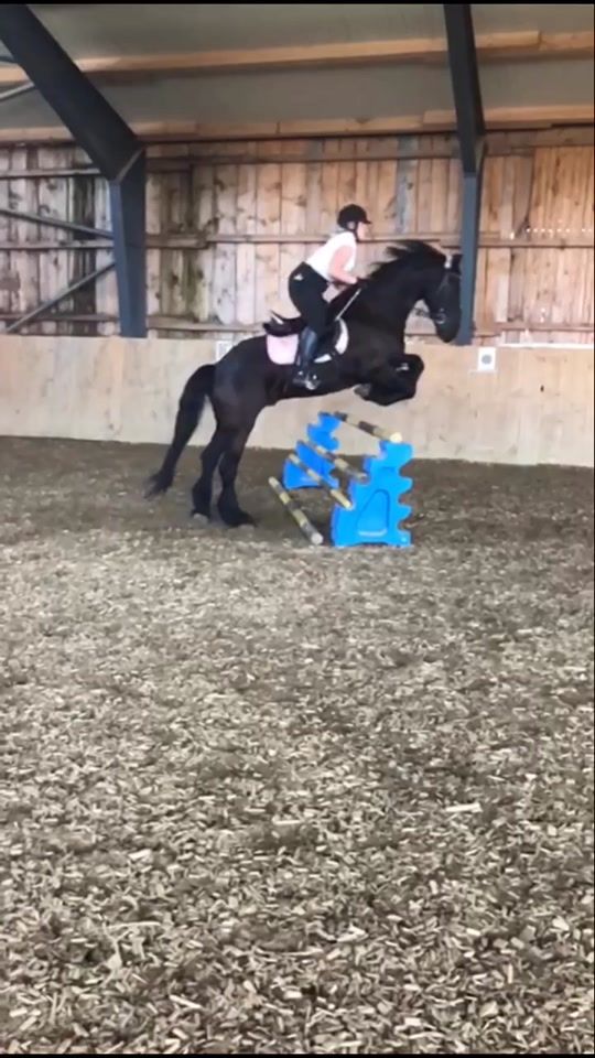 TikTok video thumbnail by melli_und_willi