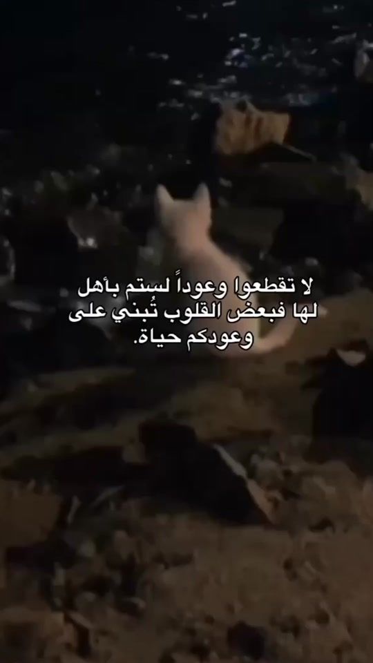 TikTok video thumbnail by 1_wattan