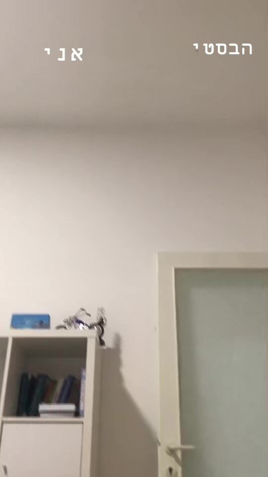 TikTok video thumbnail by alma34208