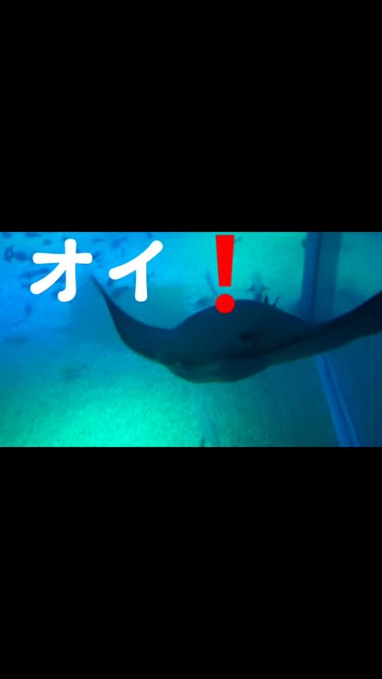 TikTok video thumbnail by tukigase