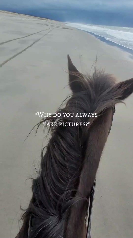TikTok video thumbnail by gens.equine