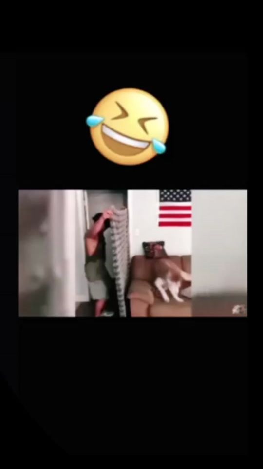 TikTok video thumbnail by danik20049