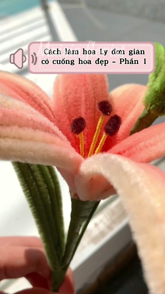 TikTok video thumbnail by maisin.florist