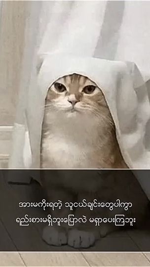 TikTok video thumbnail by riko_ah