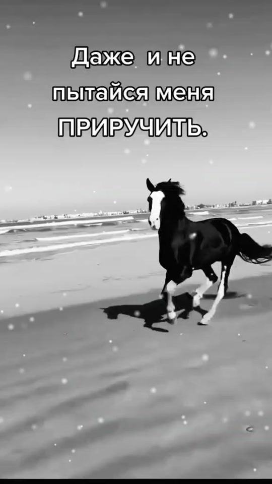 TikTok video thumbnail by s...666
