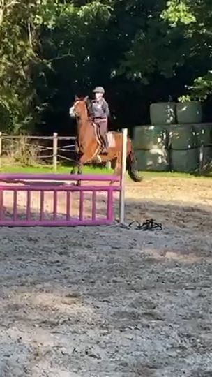 TikTok video thumbnail by show_jumping_tatum