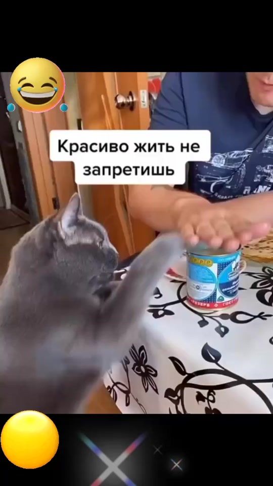 TikTok video thumbnail by kosst1972