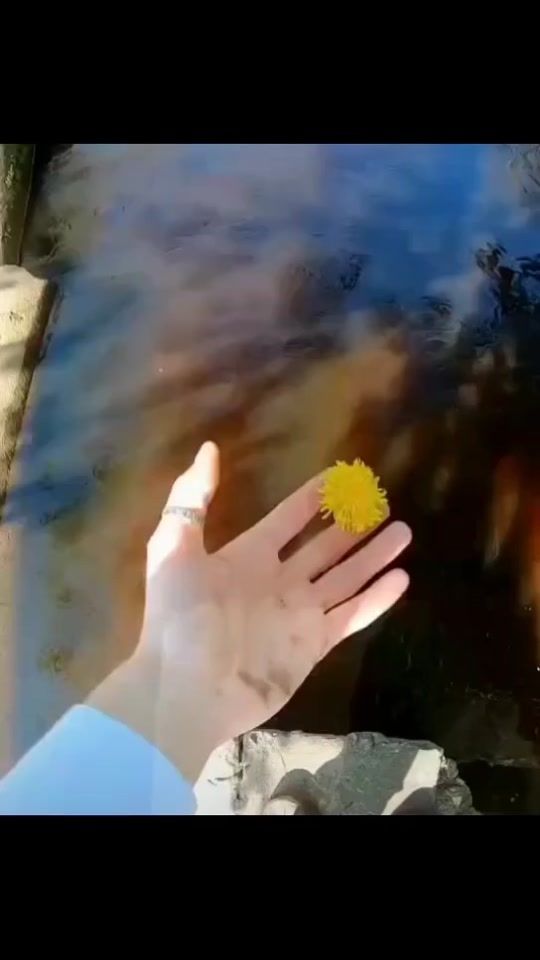 TikTok video thumbnail by ak_aks_