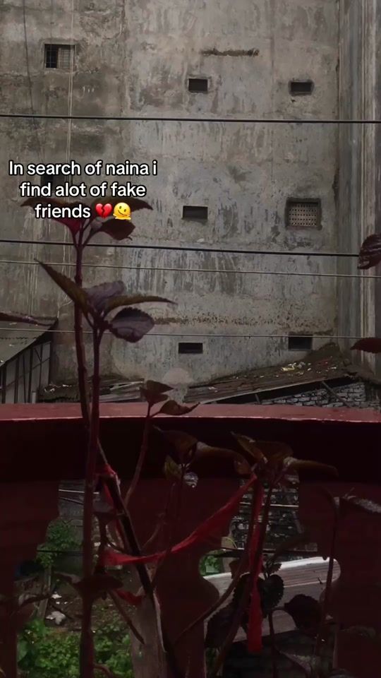 TikTok video thumbnail by slient_eyes0