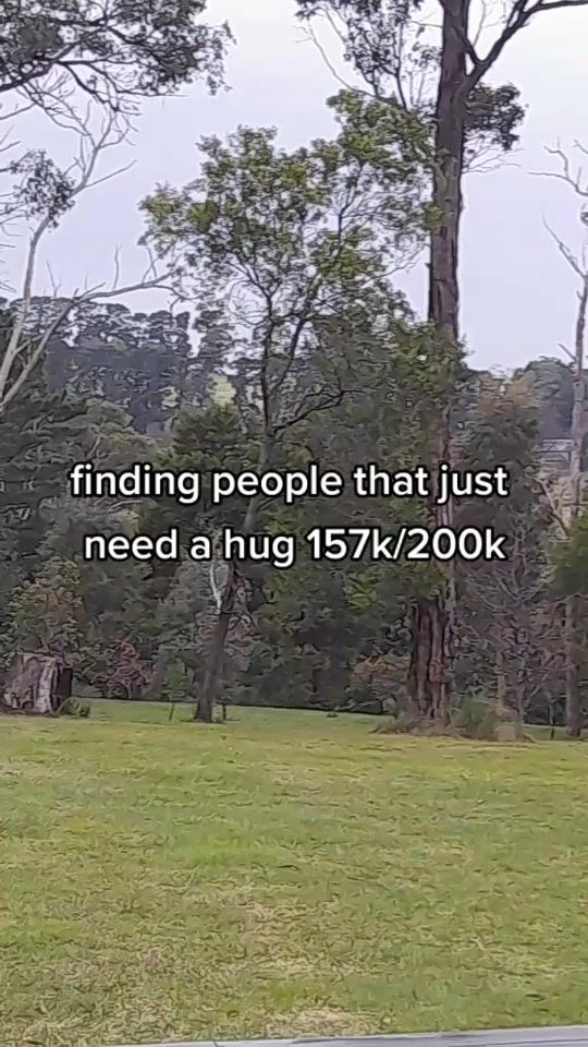 TikTok video thumbnail by universal.quotes