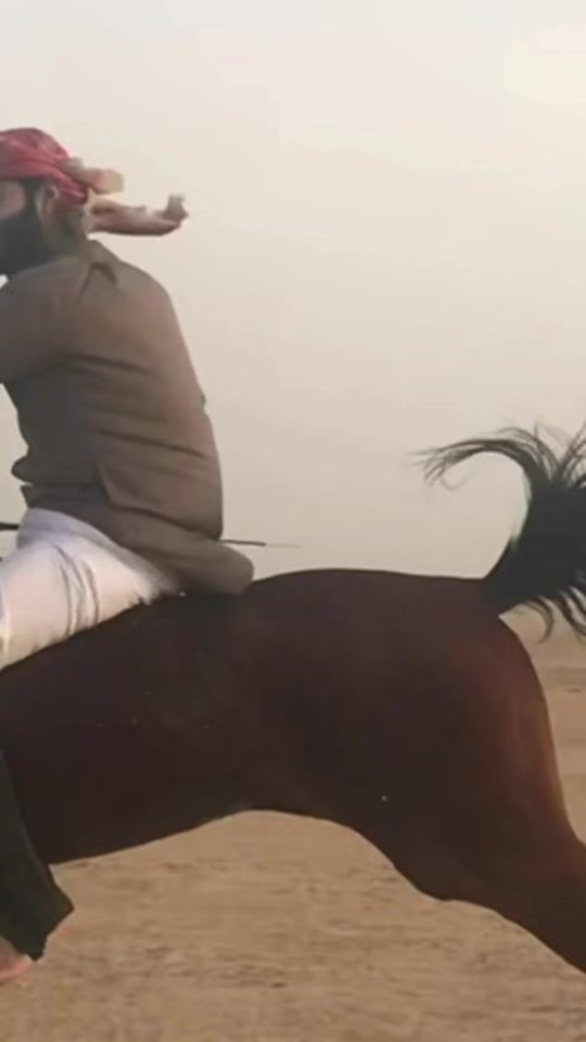 TikTok video thumbnail by kalajmmi