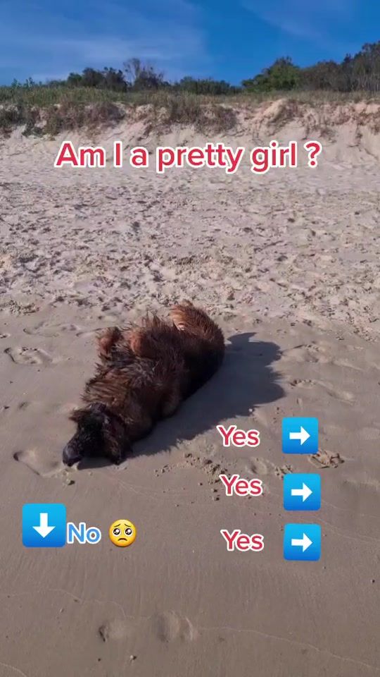 TikTok video thumbnail by heideethegsd