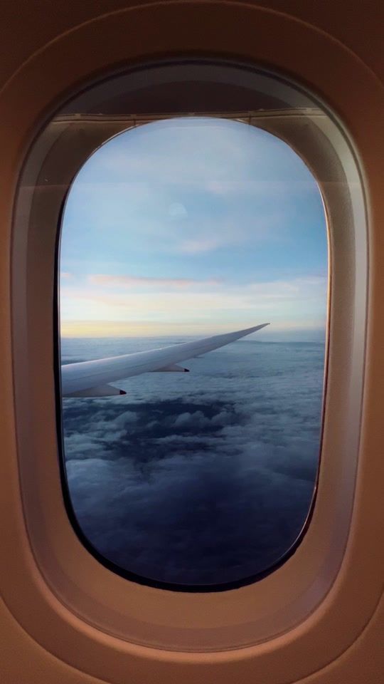 TikTok video thumbnail by shx.lu