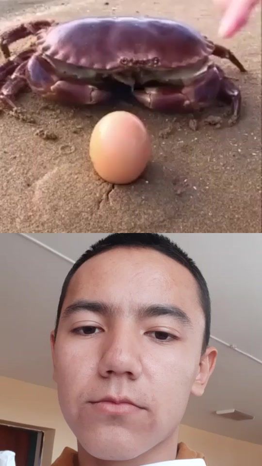 TikTok video thumbnail by _alihandrow._