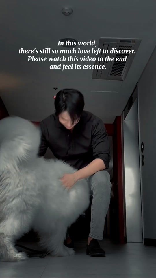 TikTok video thumbnail by jayandsom