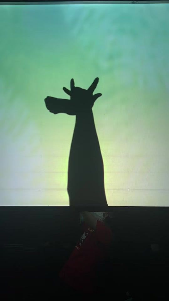 TikTok video thumbnail by hand_shadow_girls