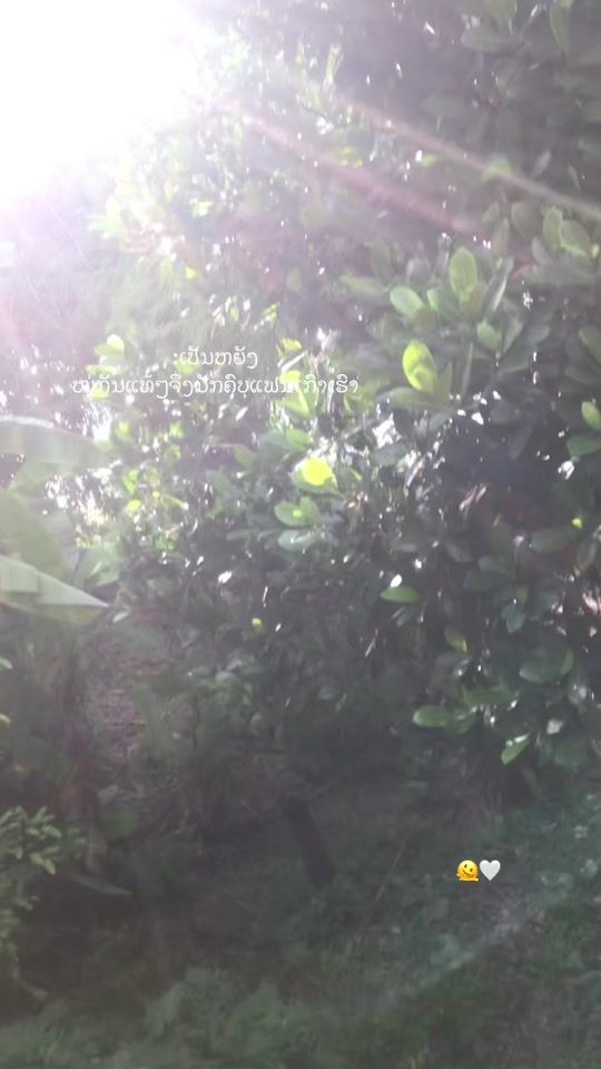 TikTok video thumbnail by aonmcvhj