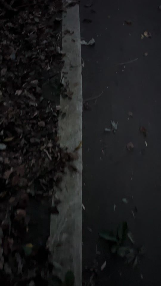 TikTok video thumbnail by sti_voltex