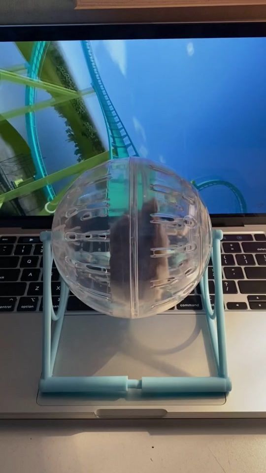 TikTok video thumbnail by nanuchiabanuchia