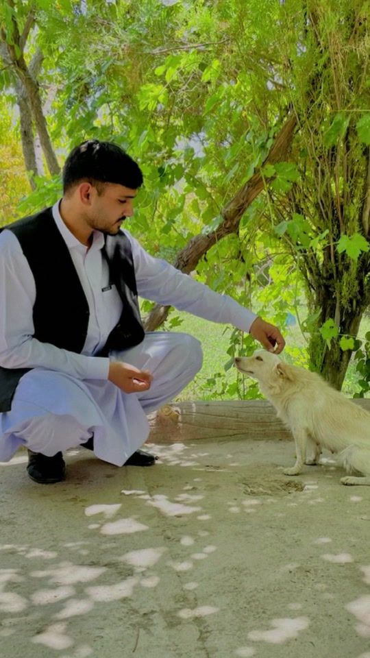 TikTok video thumbnail by mostafa.naderi