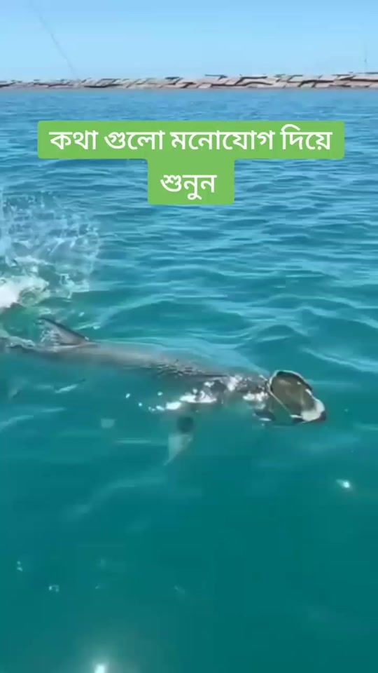 TikTok video thumbnail by crececon_elena