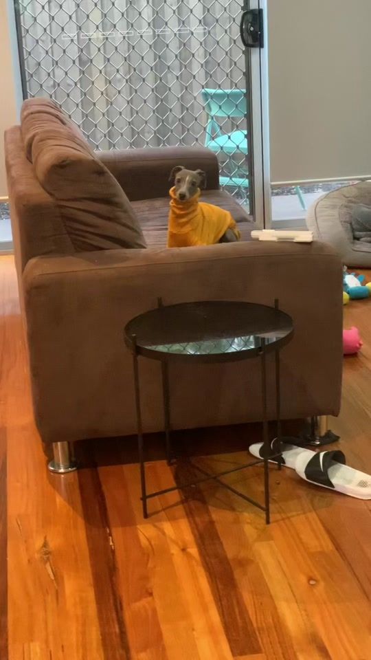 TikTok video thumbnail by pablo_thiccasso