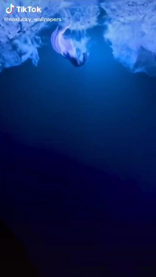 TikTok video thumbnail by lemonadedly