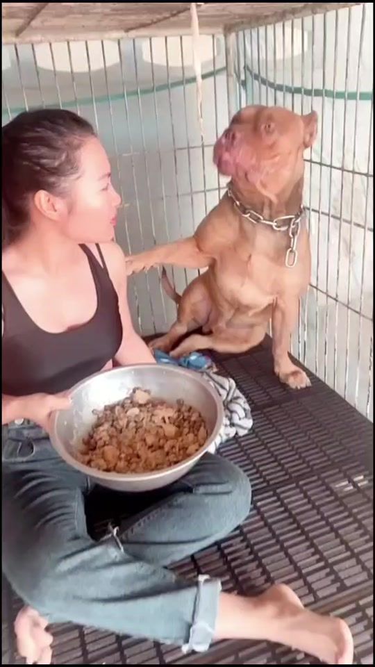 TikTok video thumbnail by arpgf