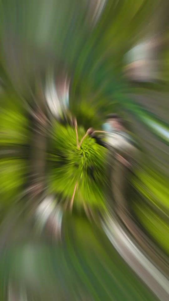 TikTok video thumbnail by m_ax168