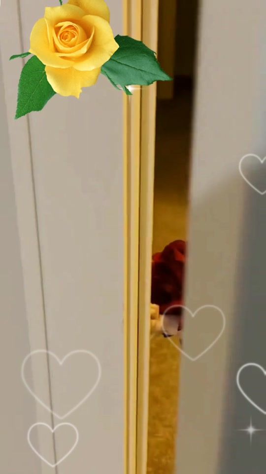TikTok video thumbnail by black_and_white..1