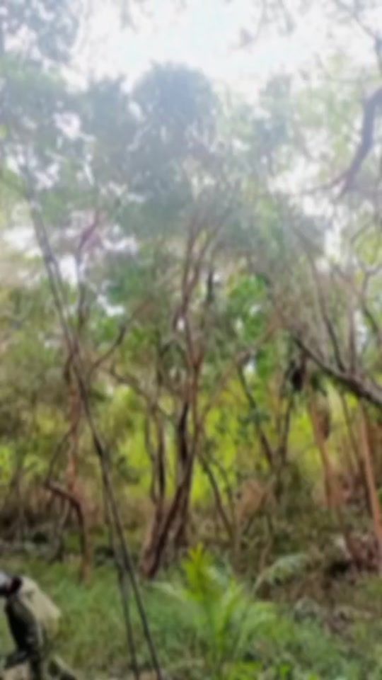 TikTok video thumbnail by nska.rtk