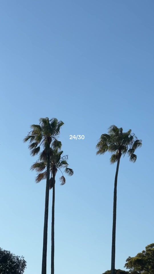 TikTok video thumbnail by michelleschimanski