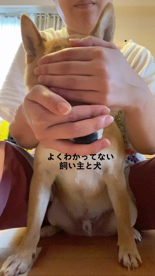 TikTok video thumbnail by kocha719