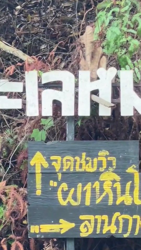 TikTok video thumbnail by js_camping_halabala
