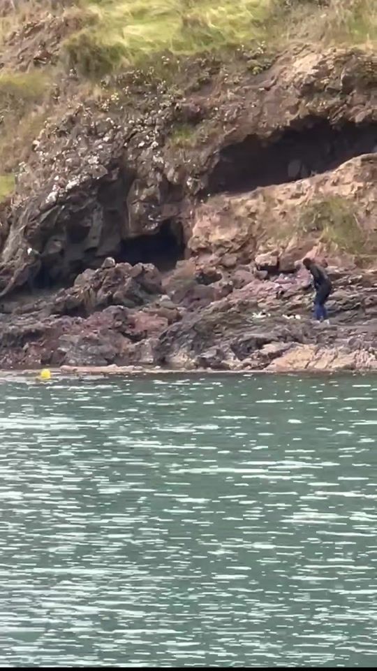 TikTok video thumbnail by primal.dive.insti