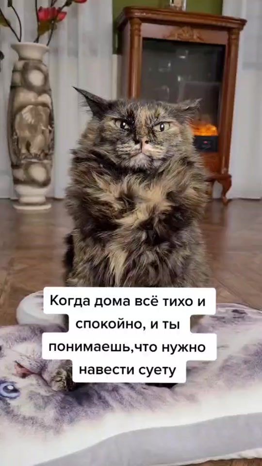 TikTok video thumbnail by luchy_nika
