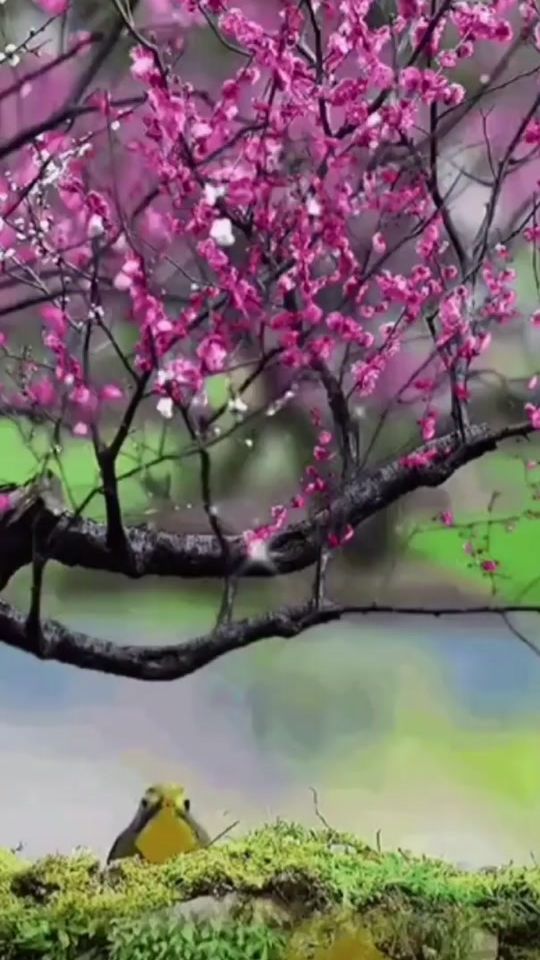 TikTok video thumbnail by lidija75