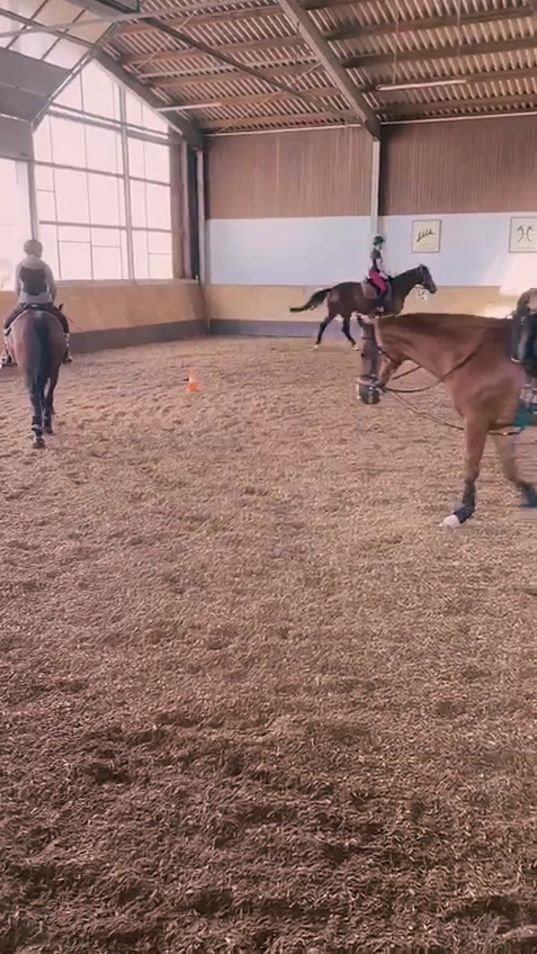 TikTok video thumbnail by equestrian._.leni
