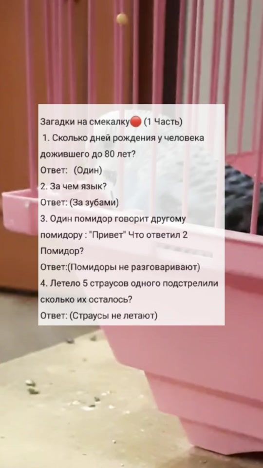TikTok video thumbnail by chozahuiniaaa