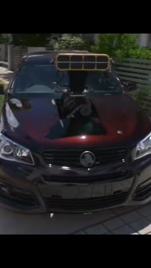 TikTok video thumbnail by prostreet_melbs