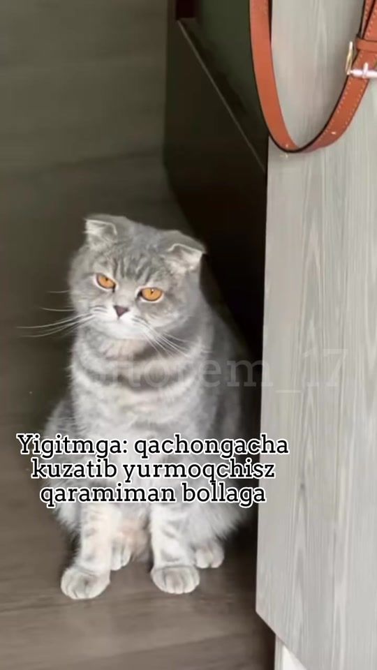 TikTok video thumbnail by sitorem_17