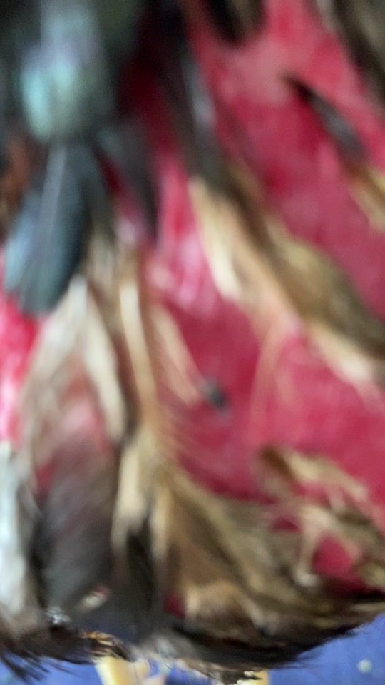 TikTok video thumbnail by thanaphonmonponngam