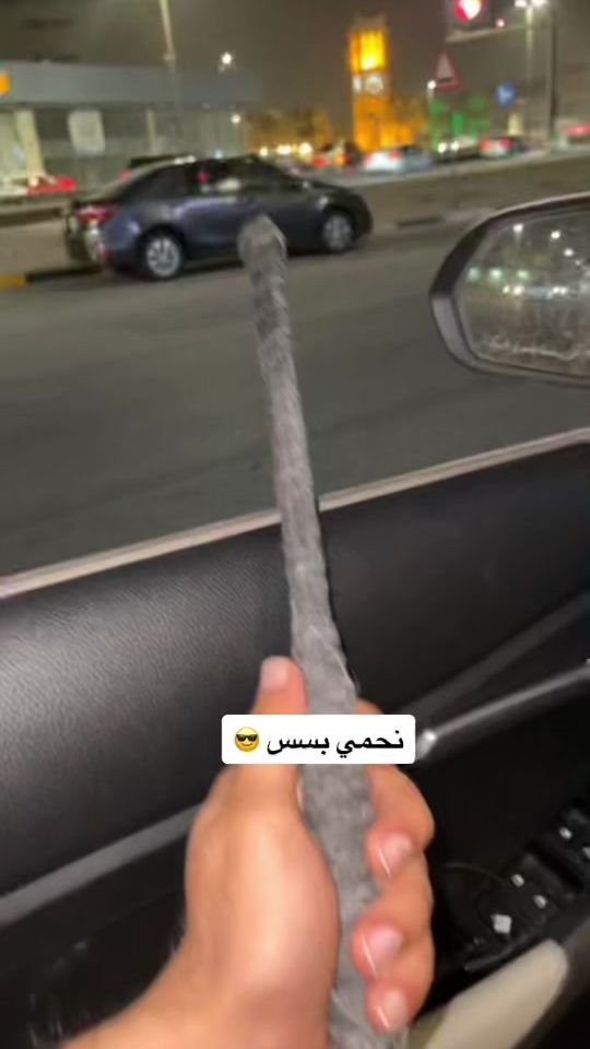 TikTok video thumbnail by my.pic