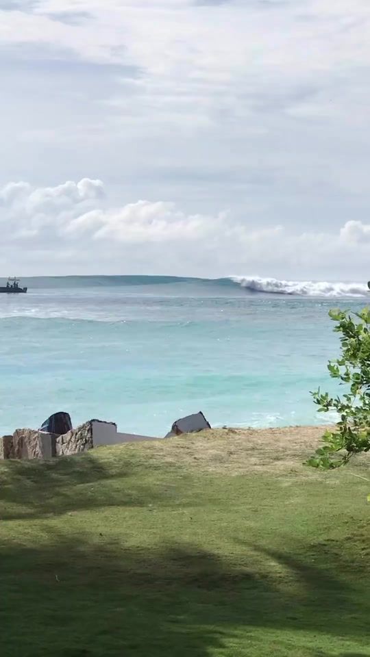 TikTok video thumbnail by salo_nz