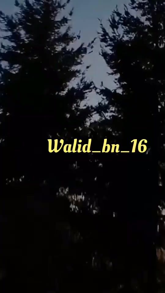 TikTok video thumbnail by walid_ben_16