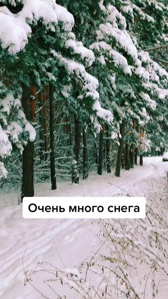 TikTok video thumbnail by 150prado