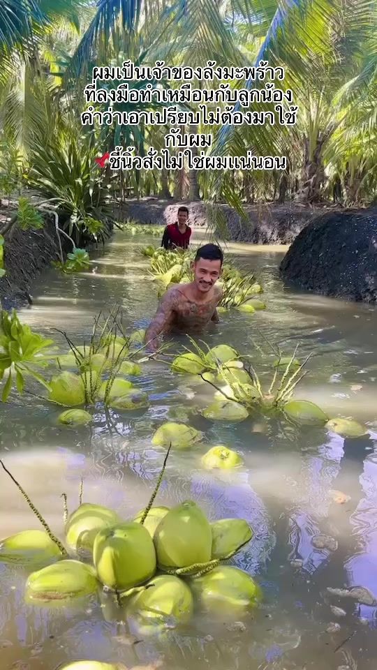 TikTok video thumbnail by surin291996